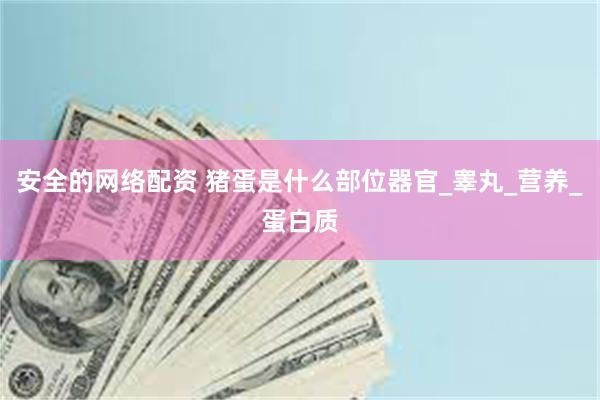 安全的网络配资 猪蛋是什么部位器官_睾丸_营养_蛋白质
