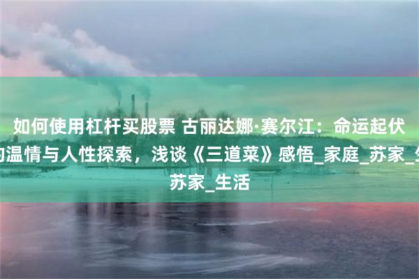 如何使用杠杆买股票 古丽达娜·赛尔江：命运起伏中的温情与人性探索，浅谈《三道菜》感悟_家庭_苏家_生活