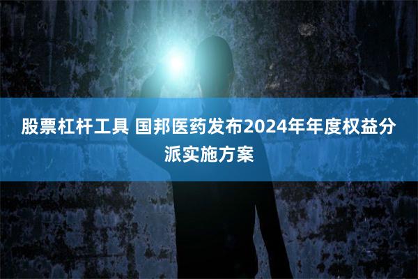 股票杠杆工具 国邦医药发布2024年年度权益分派实施方案
