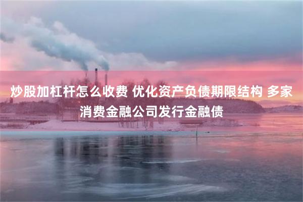 炒股加杠杆怎么收费 优化资产负债期限结构 多家消费金融公司发行金融债