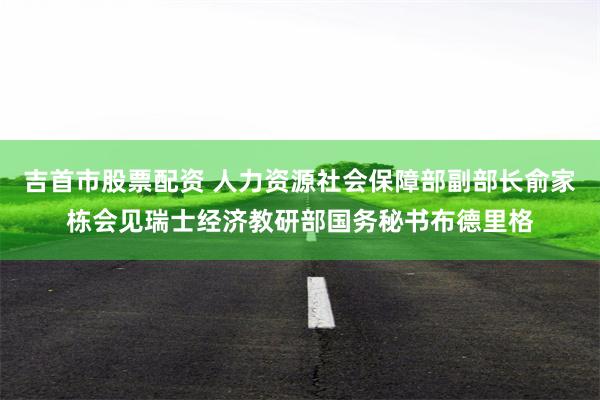 吉首市股票配资 人力资源社会保障部副部长俞家栋会见瑞士经济教研部国务秘书布德里格