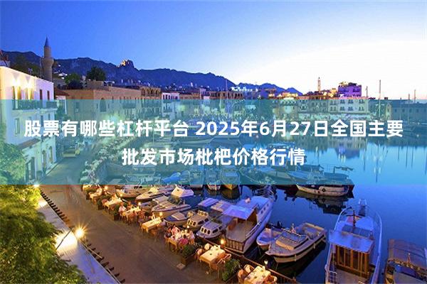 股票有哪些杠杆平台 2025年6月27日全国主要批发市场枇杷价格行情