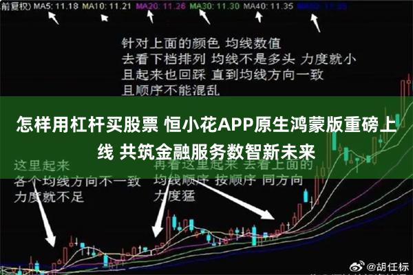 怎样用杠杆买股票 恒小花APP原生鸿蒙版重磅上线 共筑金融服务数智新未来