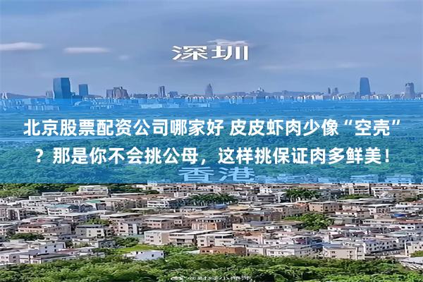 北京股票配资公司哪家好 皮皮虾肉少像“空壳”？那是你不会挑公母，这样挑保证肉多鲜美！
