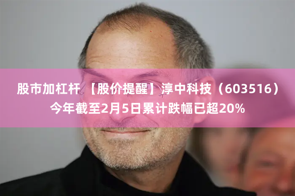 股市加杠杆 【股价提醒】淳中科技（603516）今年截至2月5日累计跌幅已超20%